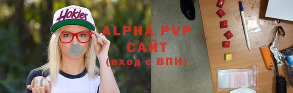 мяу мяу мука Абаза